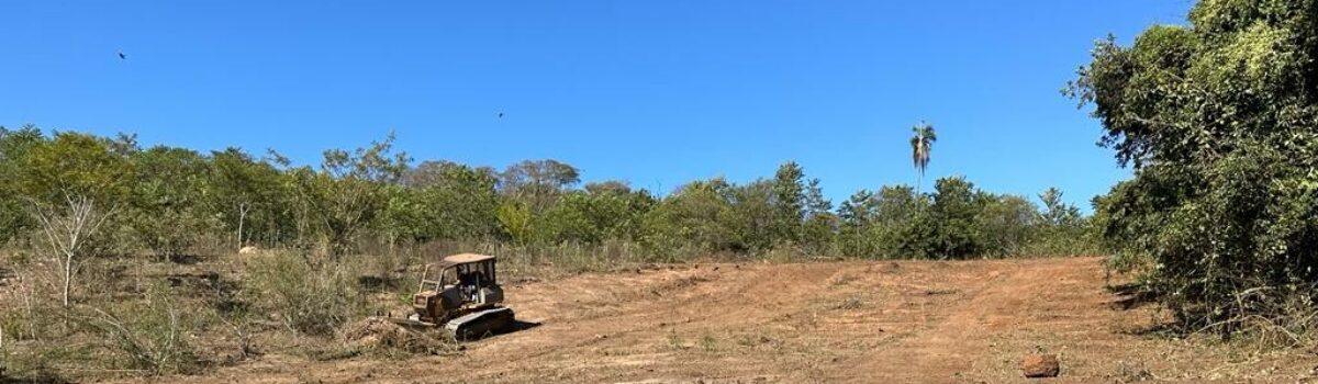 Polícia Civil prende duas pessoas por desmatamento ilegal em fazenda de Itumbiara