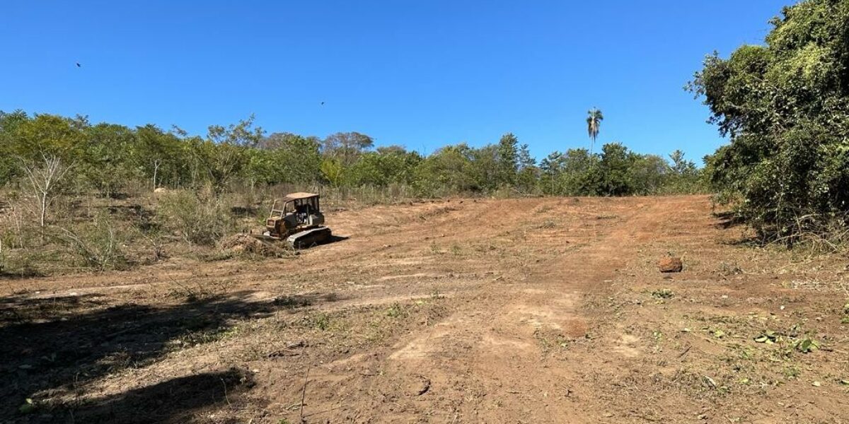 Polícia Civil prende duas pessoas por desmatamento ilegal em fazenda de Itumbiara