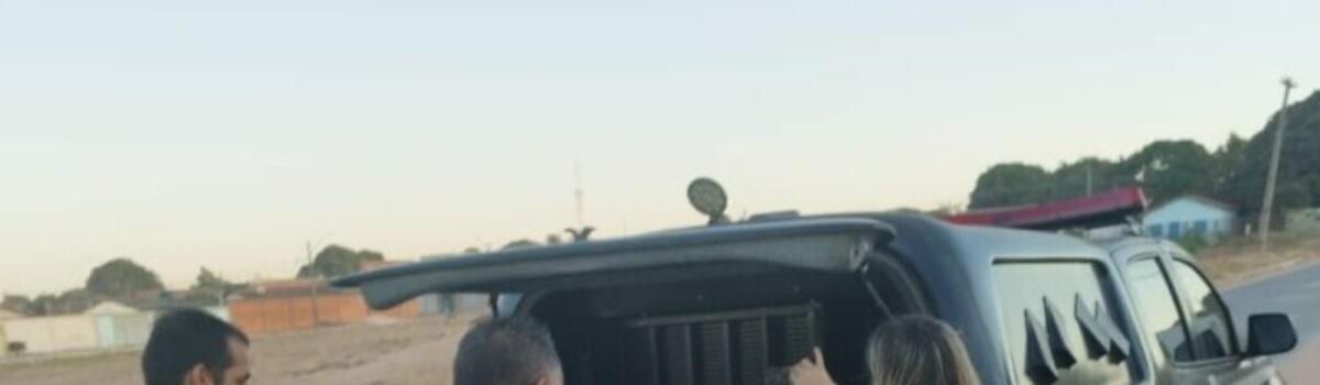 Operação Fauda investiga suspeitas em licitações e contratos em Posse