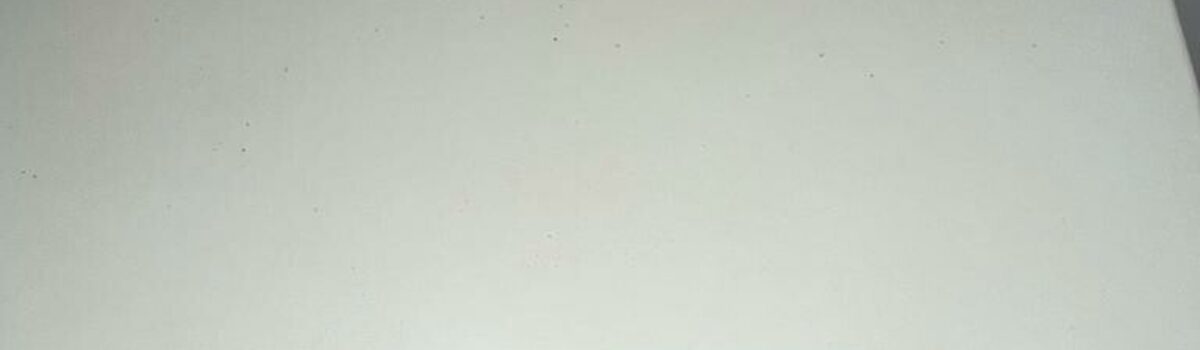 Homem é preso em flagrante por posse de arma, em Novo Gama