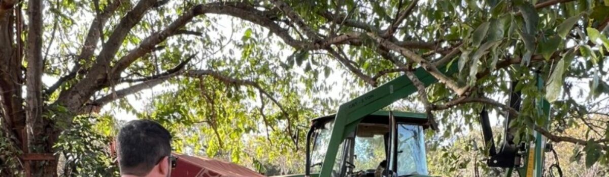 PC recupera 40 toneladas de gesso furtado de empresa e prende autor em Itumbiara