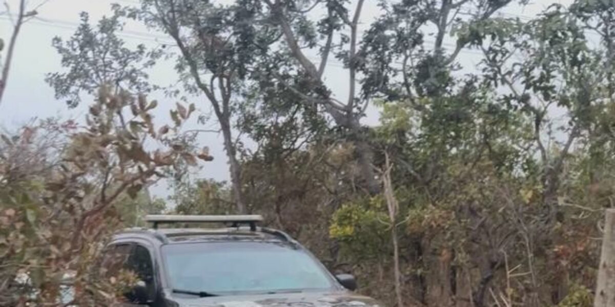 Traficante com atuação na região de Formosa é preso em operação integrada