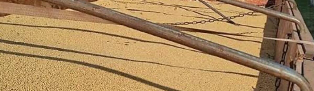 PCGO identifica origem de carga e combate sonegação fiscal em Itumbiara