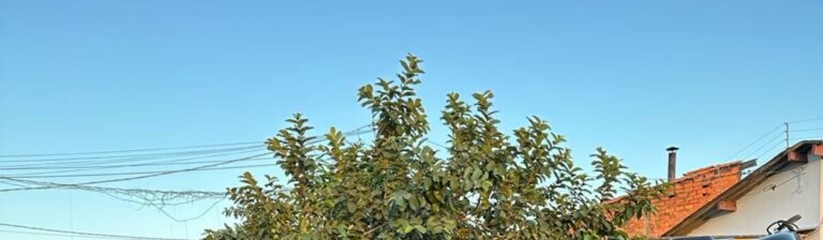 PCGO prende família que aplicava golpes em donos de supermercados