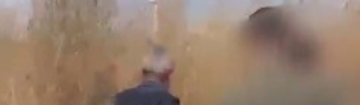 Contumaz no roubo de ferramentas, homem é preso pela PCGO