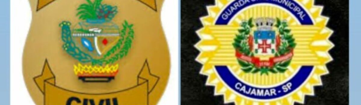 PCGO recupera caminhão com 50 toneladas de milho roubados em São Paulo