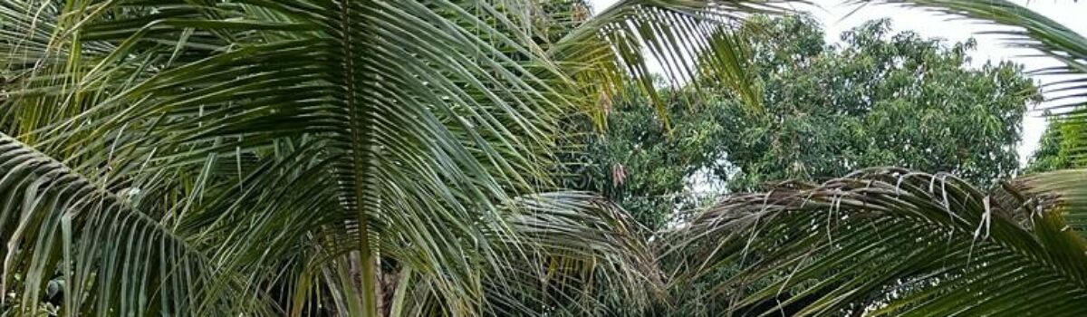 Operação flagra internações ilegais em clínica de recuperação