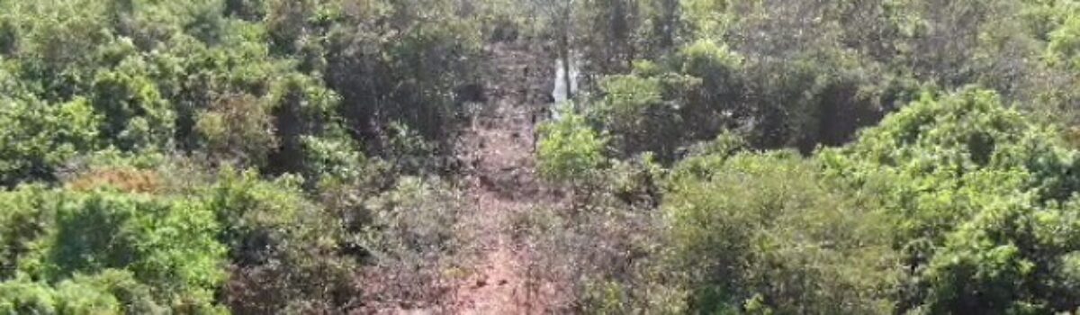 Polícia Civil investiga impactos ambientais de loteamento em APP de Goianira