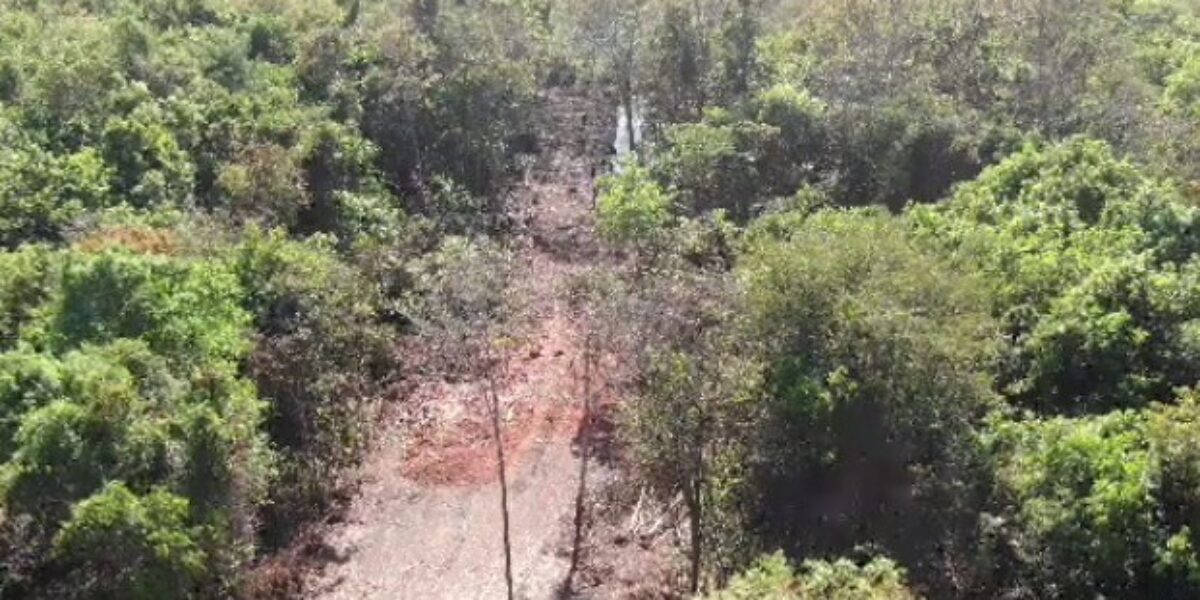 Polícia Civil investiga impactos ambientais de loteamento em APP de Goianira