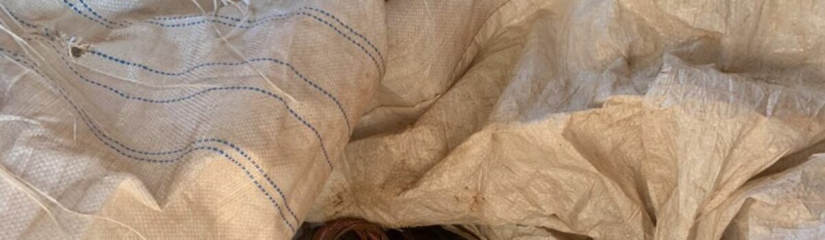 PCGO prende homem que furtou fios de cobre e deixou Bela Vista sem água