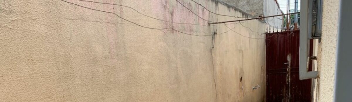 Após denúncia, PCGO encontra 16 cães em situação de abandono no Setor Centro-Oeste