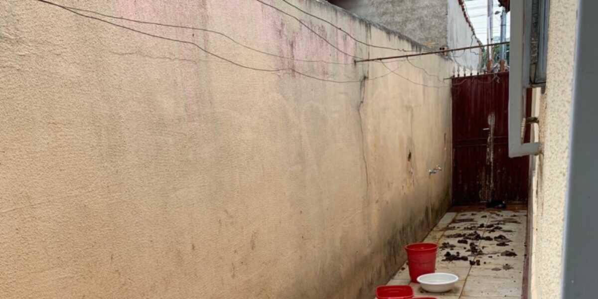Após denúncia, PCGO encontra 16 cães em situação de abandono no Setor Centro-Oeste