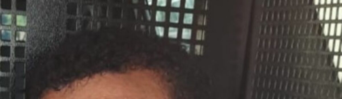 Investigado contumaz na prática de furtos é preso pela PCGO em Morrinhos