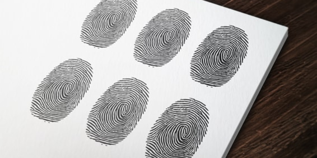 PCGO tem recorde de atendimentos para emissão de carteira de identidade