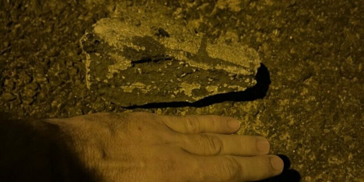 PCGO identifica motociclista que feriu cão com pedrada após se irritar com animal
