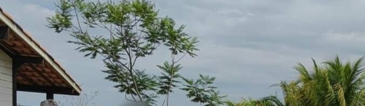 PCGO prende mais um investigado por clínica irregular em Três Ranchos