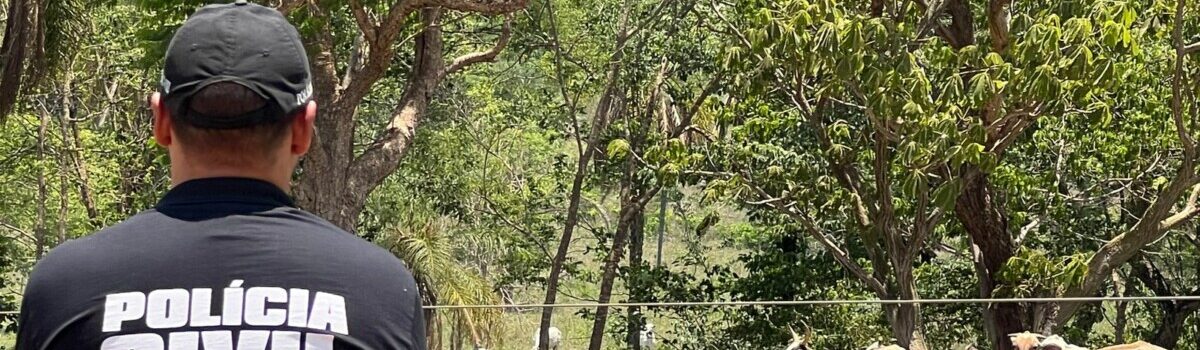 Gado furtado é localizado pela PCGO no município de Doverlândia