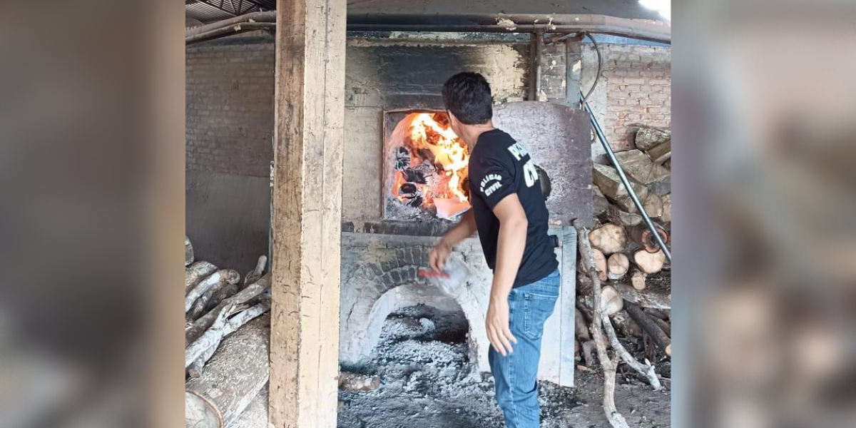 PCGO incinera diversos tipos de droga em Campinorte
