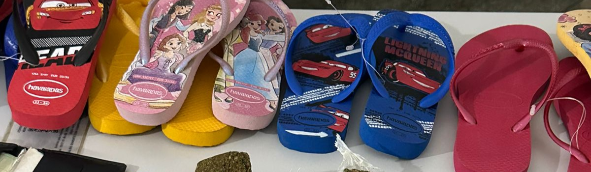 PCGO realiza buscas em ponto de drogas e prende investigado, em Mimoso de Goiás