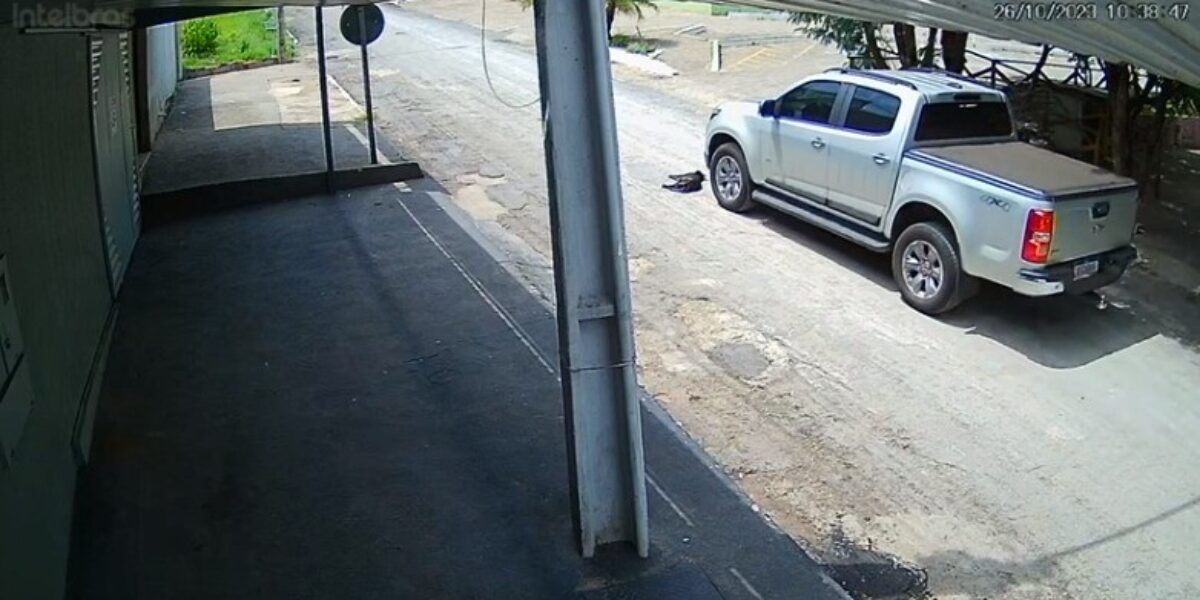 Polícia Civil identifica motorista que atropelou e matou cadela em lago de Inhumas