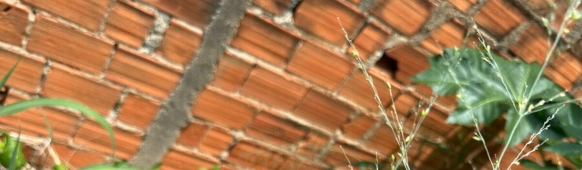 PC recupera bicicleta e prende autor de furto em flagrante, em Mara Rosa