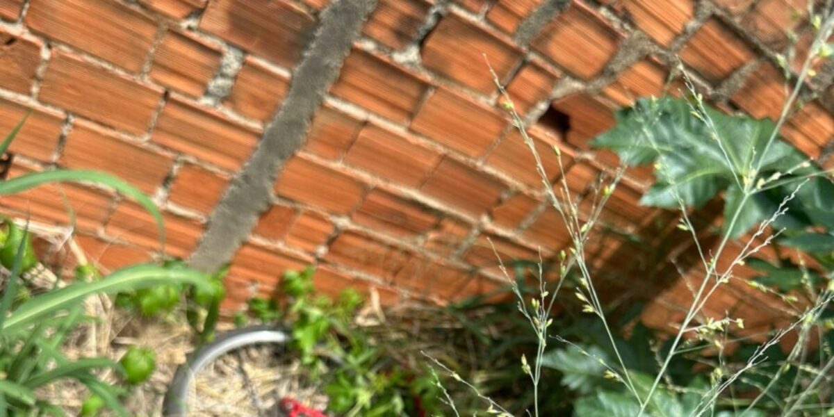 PC recupera bicicleta e prende autor de furto em flagrante, em Mara Rosa