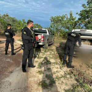 Operação Sanctus Ager cumpre buscas contra falsificação de defensivos agrícolas
