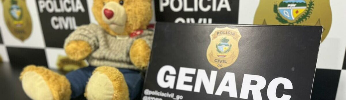 Operação encontra drogas dentro de urso de pelúcia e ao alcance de crianças, em Luziânia