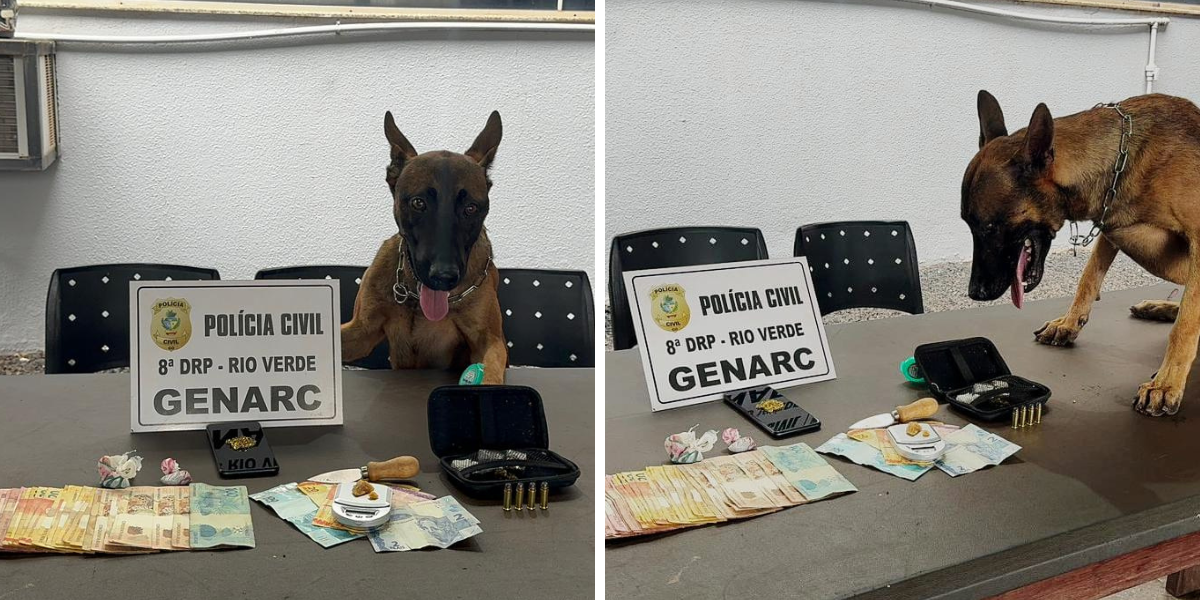 PCGO desarticula líderes de associação que utilizava menores para o tráfico