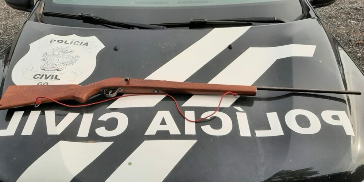 PCGO prende autor e apreende arma utilizada em crime de maus-tratos contra cadela