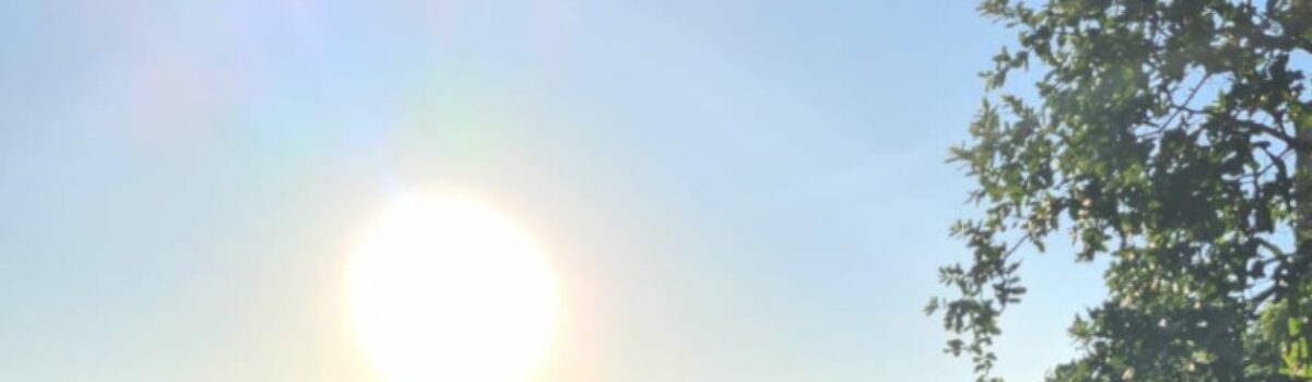 Operação cumpre buscas e sequestro em investigação de golpes em Águas Lindas