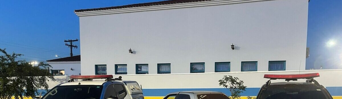 Animais furtados são recuperados em Santa Rosa do Meia Ponte