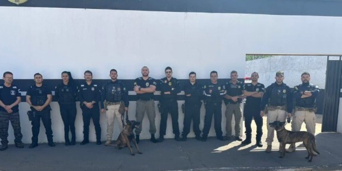 Polícia Civil faz operação contra o tráfico de drogas em Crixás