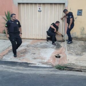 Operação cumpre buscas e prisão por tentativa de homicídio em Aparecida