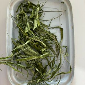 Mulher é presa suspeita de cultivar maconha no quintal de casa, em Guapó