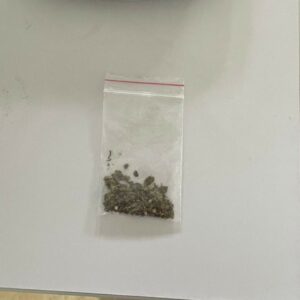 Mulher é presa suspeita de cultivar maconha no quintal de casa, em Guapó