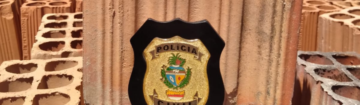 PCGO prende investigado por vários furtos de materiais de construção