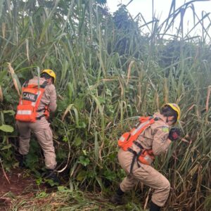 Polícia Civil localiza corpo de desaparecido e investiga possível cemitério clandestino, em Goiânia