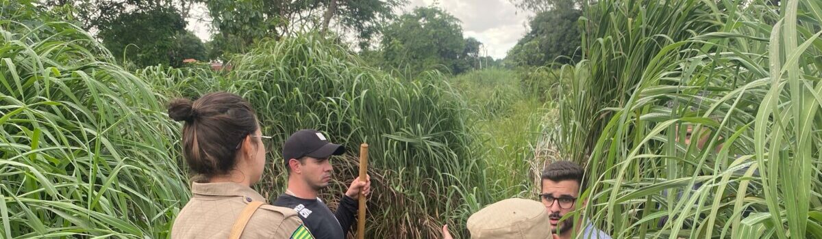 Polícia Civil localiza corpo e investiga possível cemitério clandestino, em Goiânia