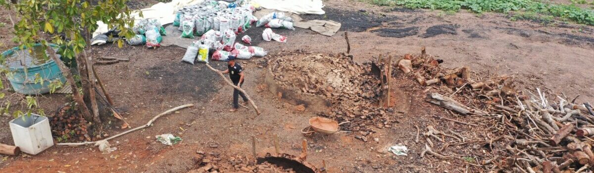 PCGO interrompe atividade de carvoaria ilegal em São Miguel do Passa Quatro