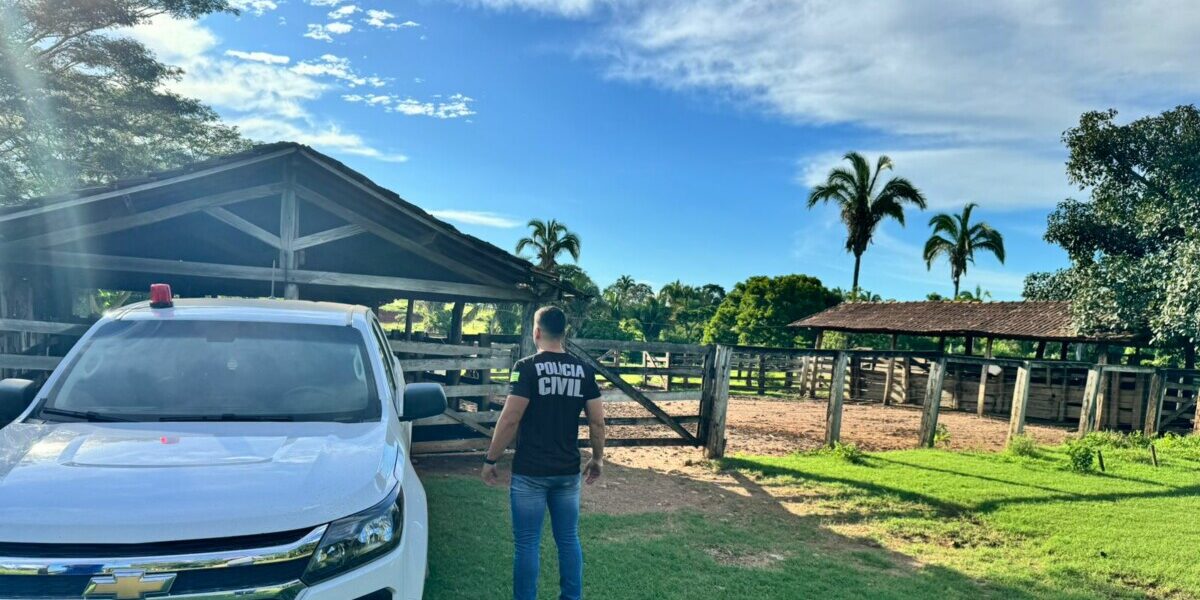 PCGO prende receptador e recupera gado furtado na zona rural de Porangatu
