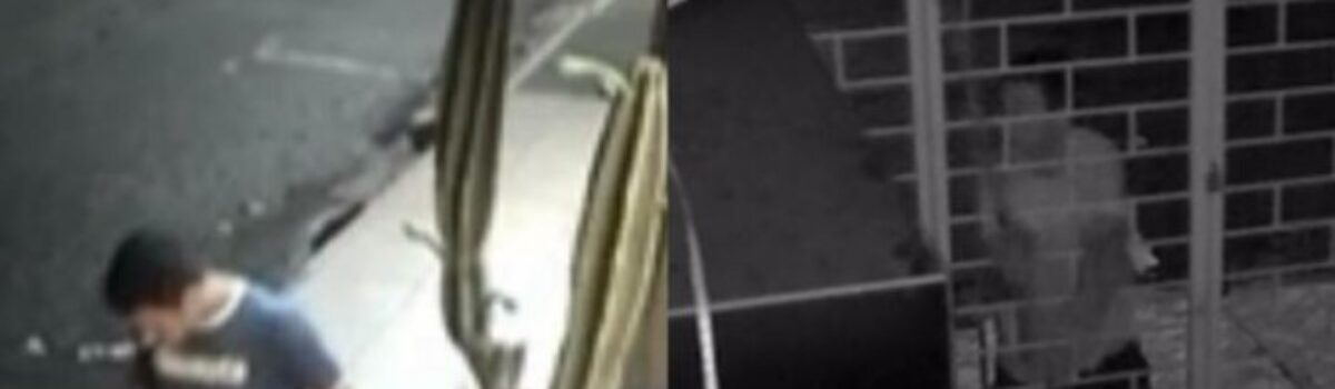 Suspeito de ao menos quatro furtos em Rio Verde é preso na zona rural do município