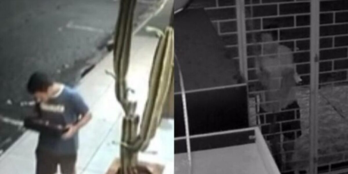 Suspeito de ao menos quatro furtos em Rio Verde é preso na zona rural do município
