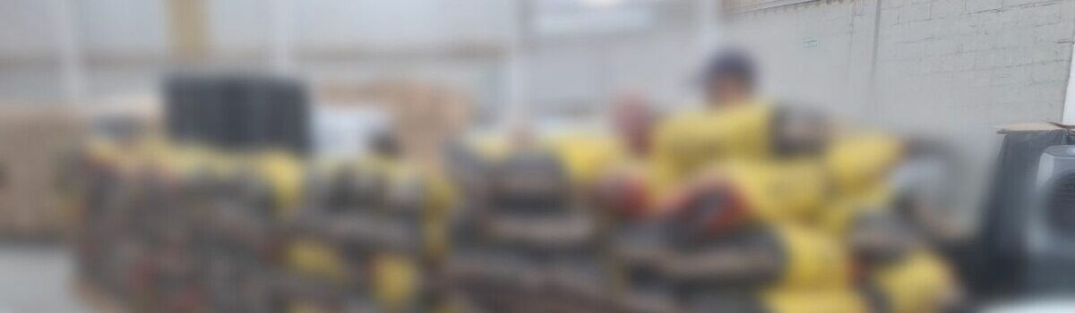 PCGO apreende quase 2 mil quilos de carvão vegetal de origem ilícita