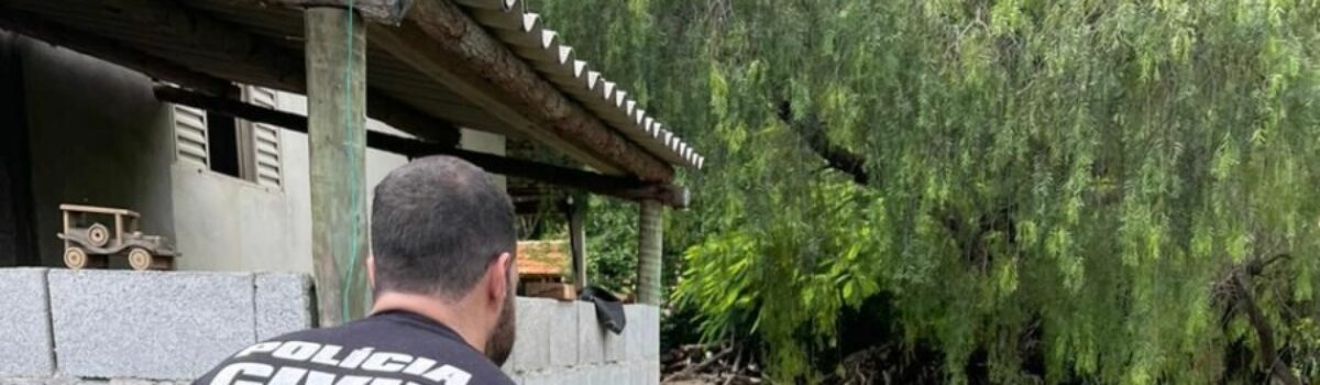 PCGO recupera carga agrícola alvo de fraudes