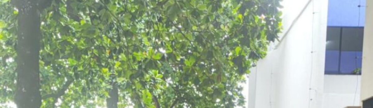 PC prende foragida por associação criminosa, tráfico e outros crimes