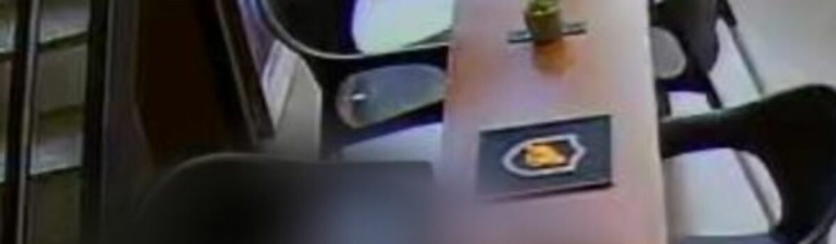 Mulher é presa suspeita de integrar grupo especializado no roubo armado de celulares