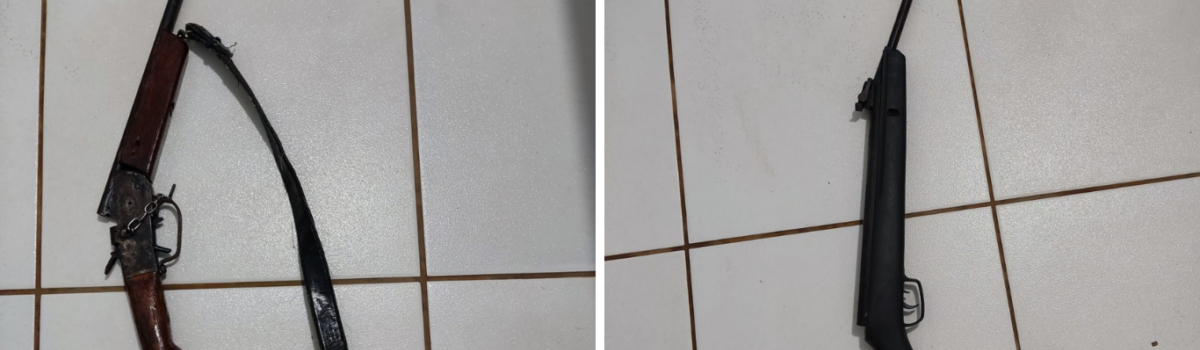 PCGO apreende armas de fogo, em Mozarlândia