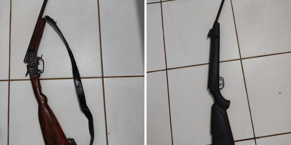 PCGO apreende armas de fogo, em Mozarlândia