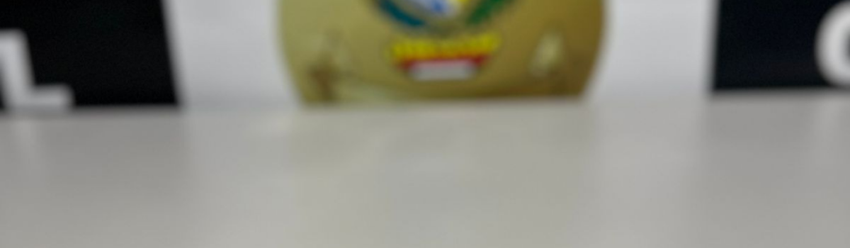 PCGO prende homem, em flagrante, por posse ilegal de arma de fogo